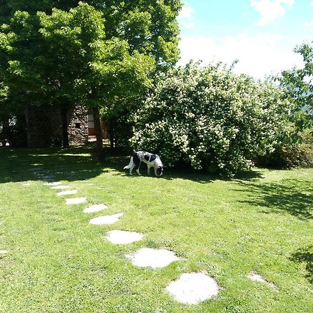 Casa Mezzuola Agriturismo Βίλα Greve in Chianti Εξωτερικό φωτογραφία