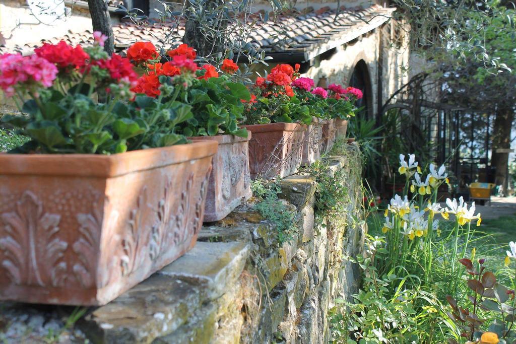 Casa Mezzuola Agriturismo Βίλα Greve in Chianti Εξωτερικό φωτογραφία