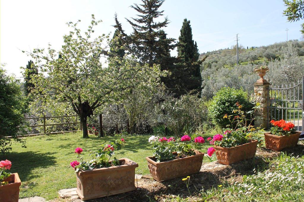 Casa Mezzuola Agriturismo Βίλα Greve in Chianti Εξωτερικό φωτογραφία