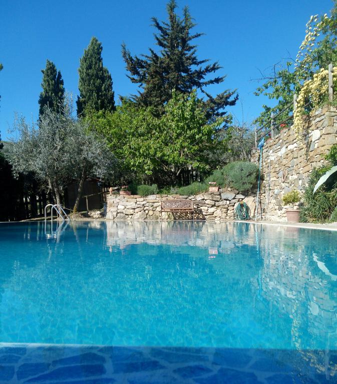 Casa Mezzuola Agriturismo Βίλα Greve in Chianti Εξωτερικό φωτογραφία