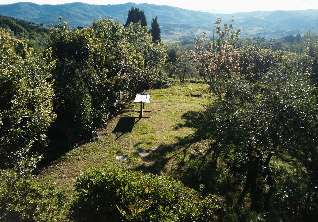 Casa Mezzuola Agriturismo Βίλα Greve in Chianti Εξωτερικό φωτογραφία