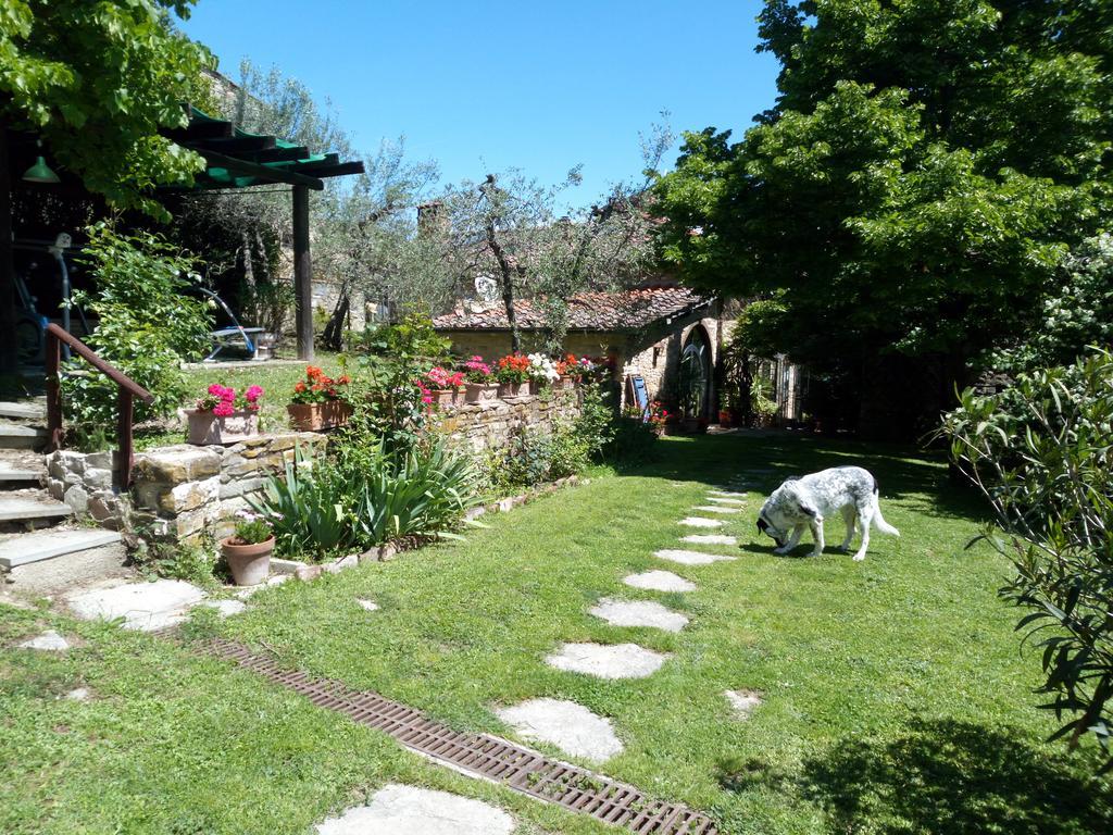 Casa Mezzuola Agriturismo Βίλα Greve in Chianti Εξωτερικό φωτογραφία